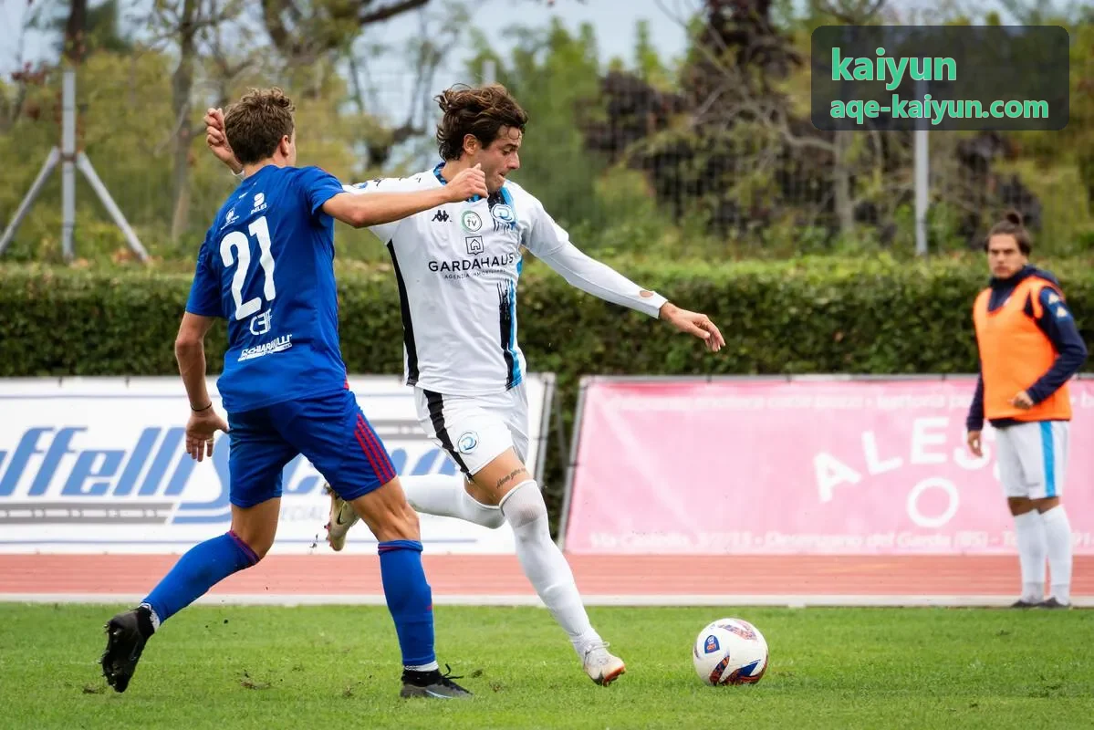kaiyun 结果追踪报告模块